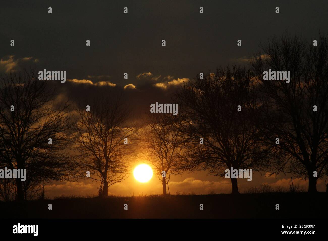 Sunrise attraverso gli alberi, creando sagome e punti di forza spettacolari sulle nuvole. Foto Stock