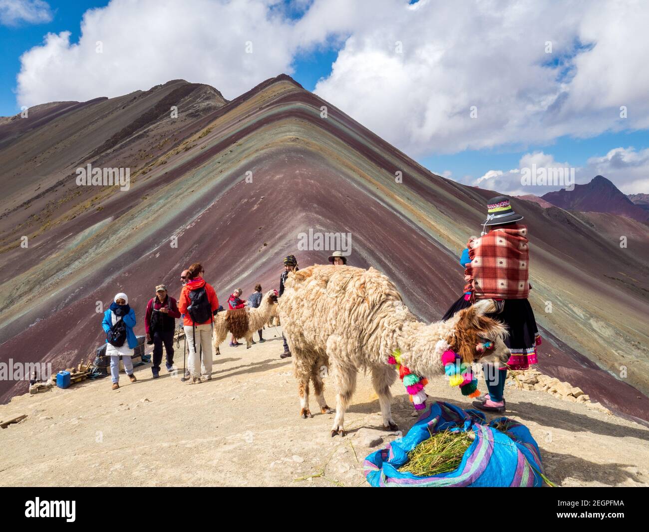 Perù, Vinicunca - 27 settembre 2019 - Llama mangia l'erba sulla montagna arcobaleno, turisti sullo sfondo Foto Stock