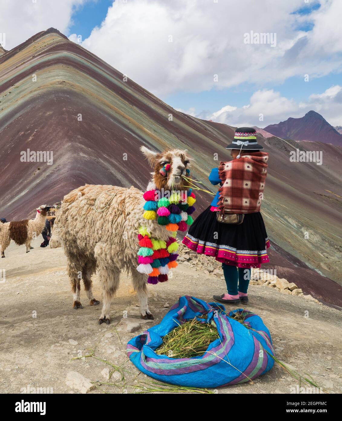 Perù, Vinicunca - 27 settembre 2019 - Llama e indiani ai sette colori di montagna vestito colorato Foto Stock