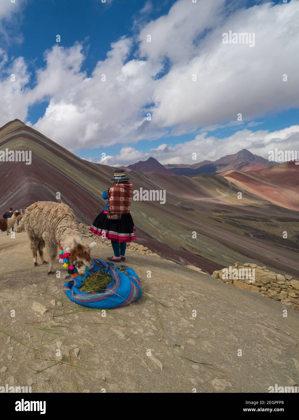 Perù, Vinicunca - 27 settembre 2019 - Llama si nutre di erba e l'indiano gode la vista sulla montagna arcobaleno Foto Stock