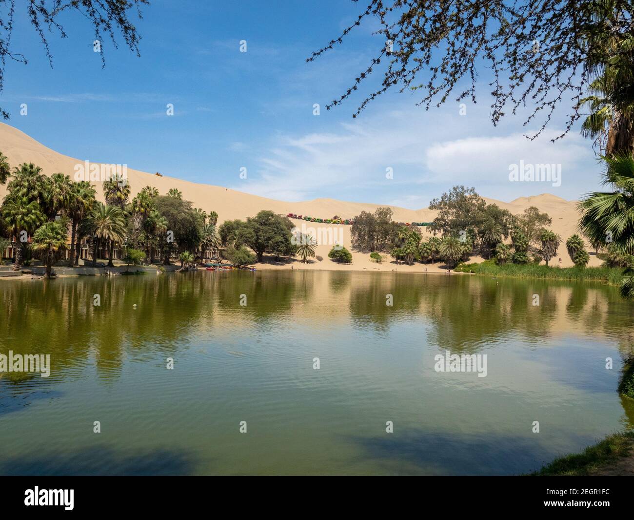 Vista sul lago all'oasi di huacachina, buggy parcheggiati su dune di sabbia sullo sfondo, palme intorno al lago circondato dal deserto Foto Stock