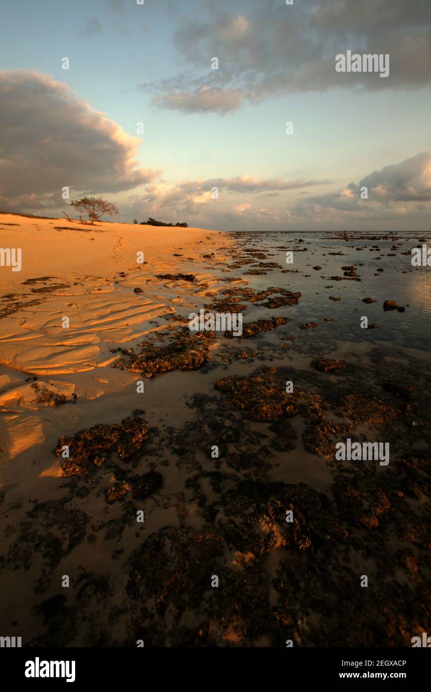 La catena rocciosa intertidale si compone vicino alla spiaggia sabbiosa durante la bassa marea prima del tramonto a MAROSI, Isola di Sumba, Indonesia. Foto Stock