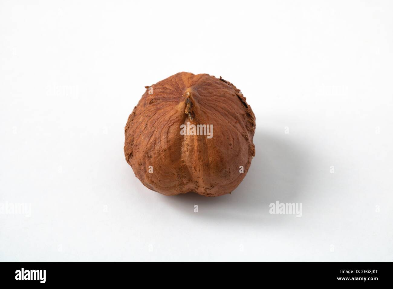 Macrofotografia di una nocciola su sfondo bianco. Vista ravvicinata della nocciola. Cibi crudi. Alimenti di Vagetarian. Alimenti vegani. Foto Stock