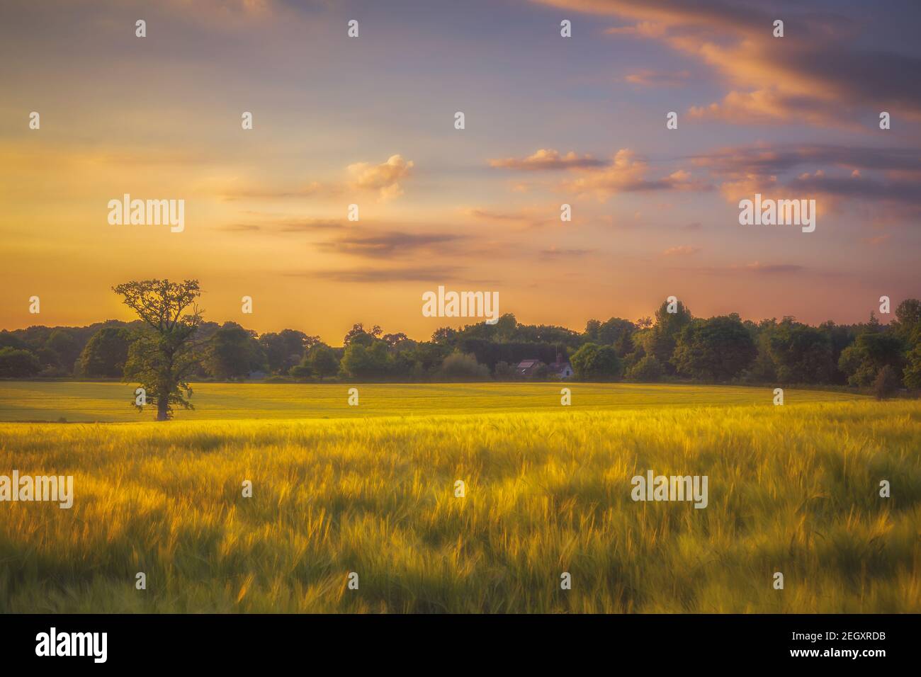 Splendide scene naturali in tutta la campagna britannica Foto Stock