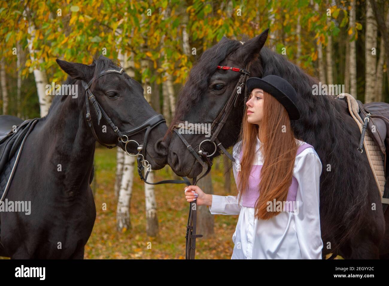 Una ragazza snella dai capelli rossi si trova in un boschetto autunnale con due cavalli. Foto Stock