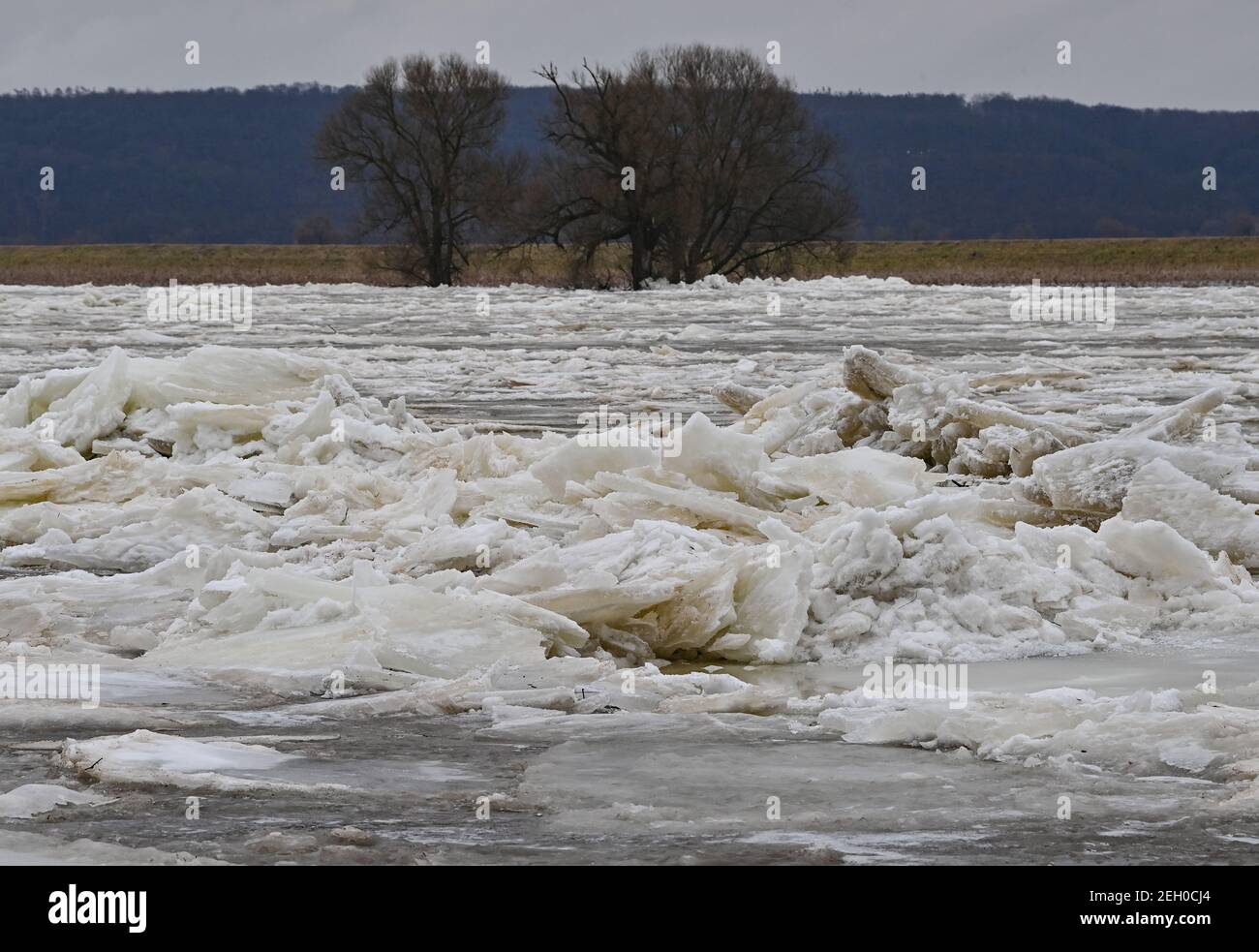 19 febbraio 2021, Brandeburgo, Hohensaaten: Galleggianti di ghiaccio sul fiume di confine tedesco-polacco Oder sono stati spinti l'uno sopra l'altro ad un'altezza di più di un metro in luoghi. Il Ministro dell'Agricoltura, dell'ambiente e del clima dello Stato di Brandeburgo, Vogel (Bündnis 90/Die Grünen), si è informato lo stesso giorno della situazione delle alluvioni del fiume sul quale si accumulano le galleggianti di ghiaccio e che hanno causato l'aumento del livello dell'acqua. Dal 14 febbraio 2021, l'indicatore del fiume Odra Hohensaaten-Finow è stato al livello di allarme 2. Attualmente, il livello dell'acqua è di 14 centimetri al di sotto del valore indicativo fo Foto Stock