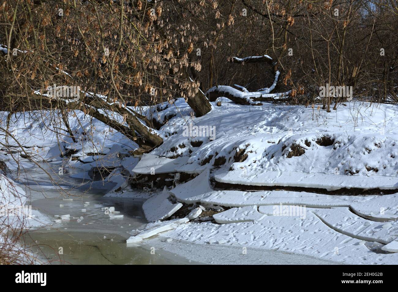 Un ruscello nella foresta invernale, neve e ghiaccio Foto Stock
