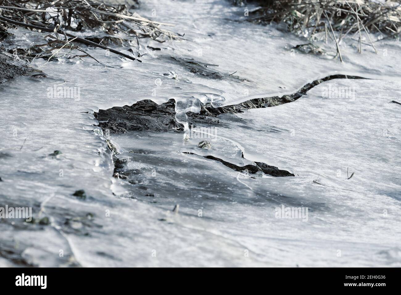 ghiaccio sulla riva del fiume, scongelate Foto Stock