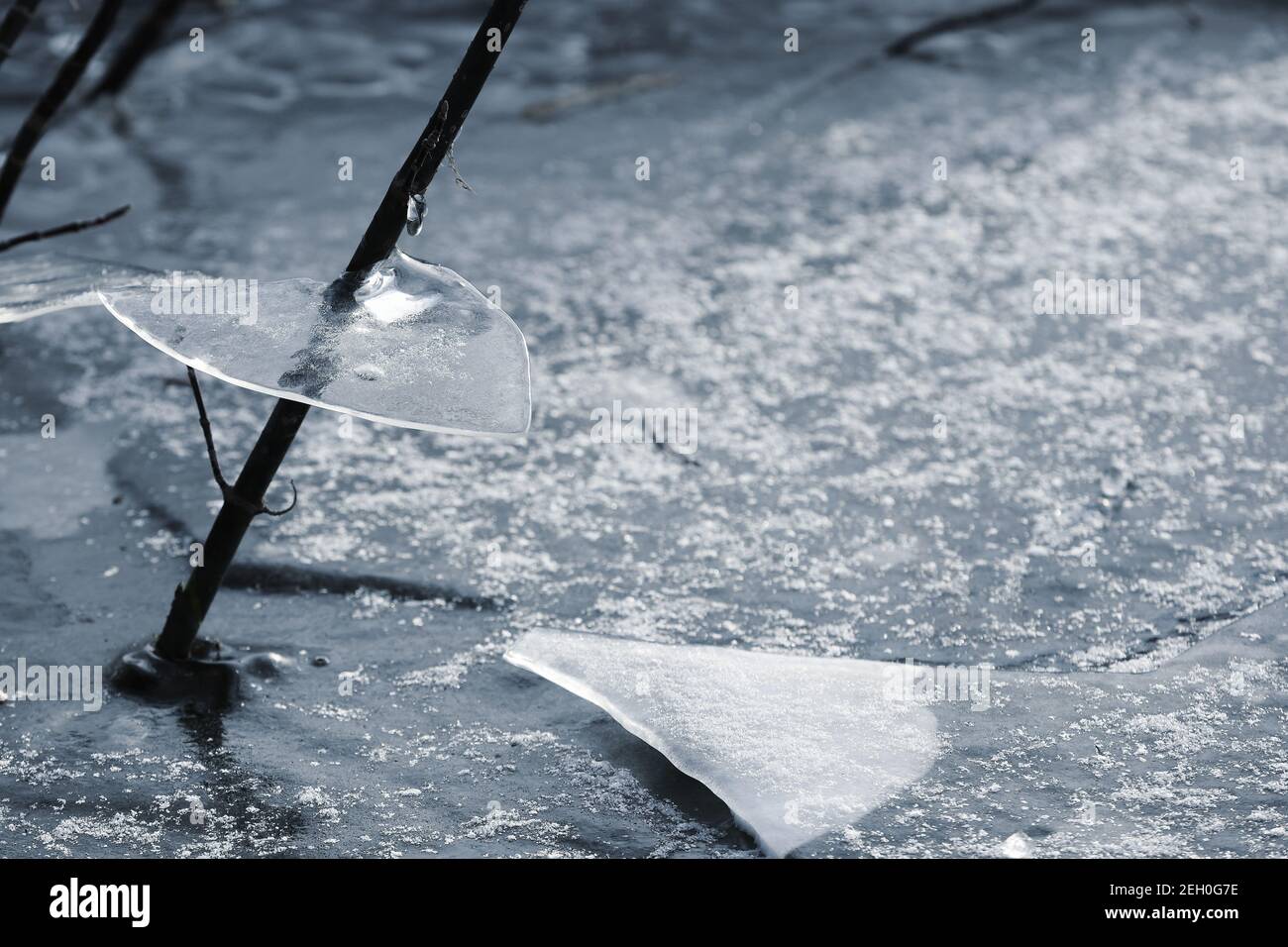 ghiaccio sulla riva del fiume, scongelate Foto Stock