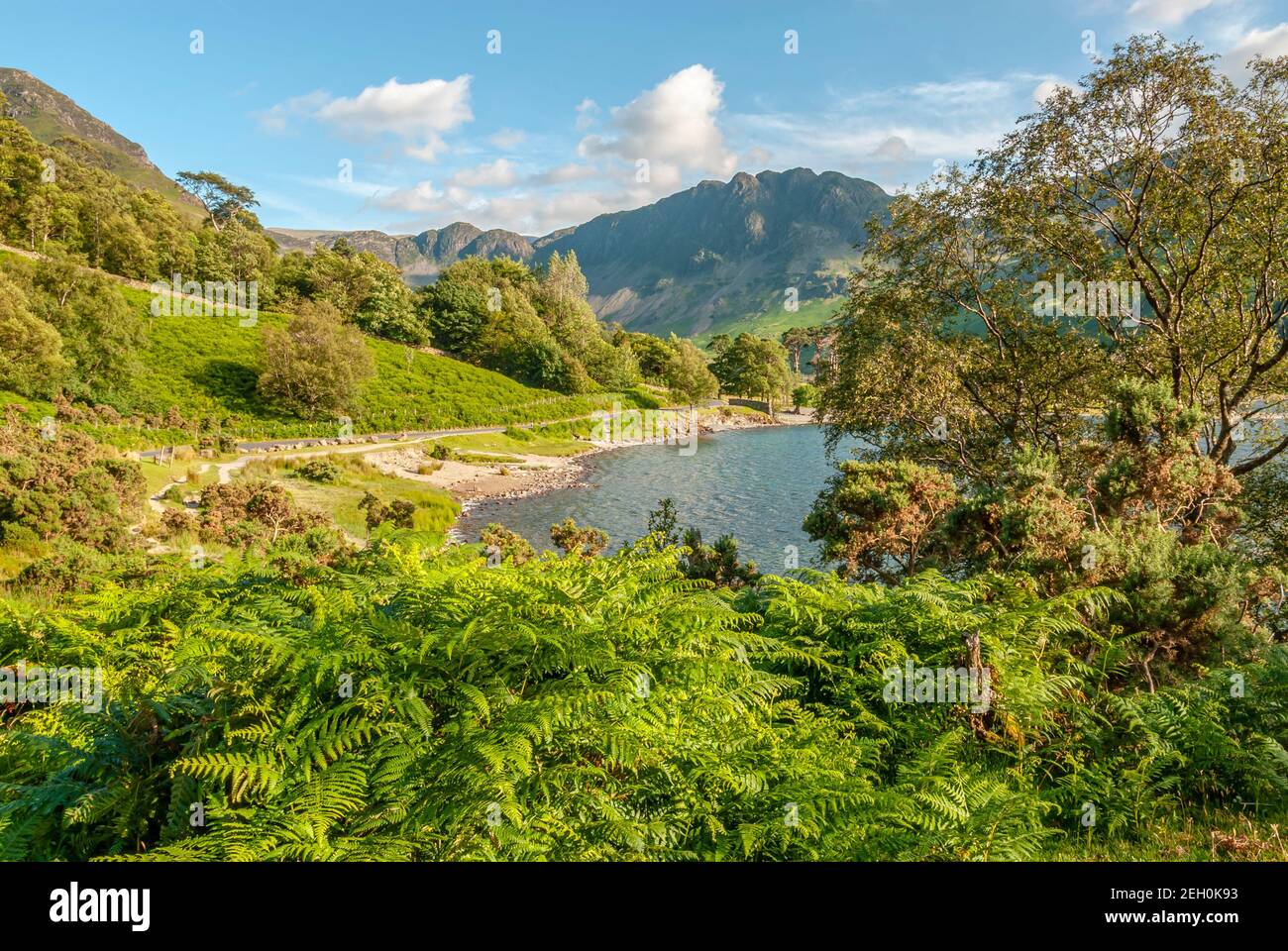 Paesaggio a Buttermere, un lago nel distretto dei laghi inglesi nel nord-ovest dell'Inghilterra Foto Stock