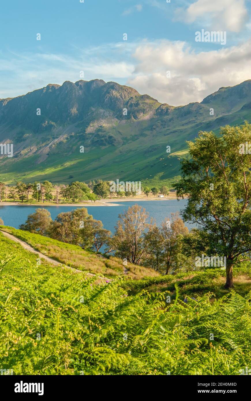 Paesaggio a Buttermere, un lago nel distretto dei laghi inglesi nel nord-ovest dell'Inghilterra Foto Stock