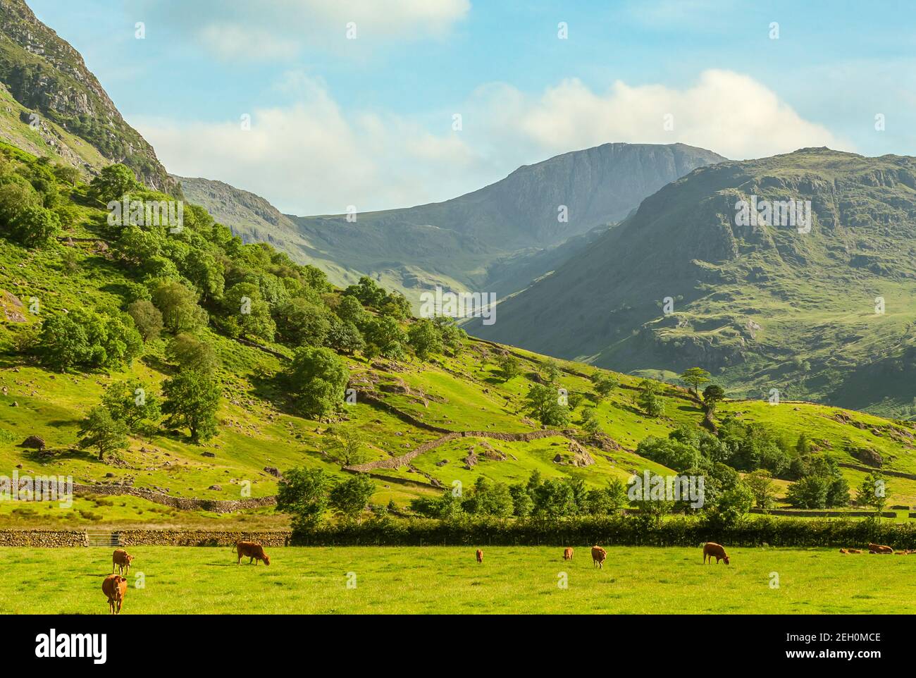 Paesaggio vicino Buttermere al Distretto dei Laghi inglesi, Inghilterra nord-occidentale, Regno Unito Foto Stock