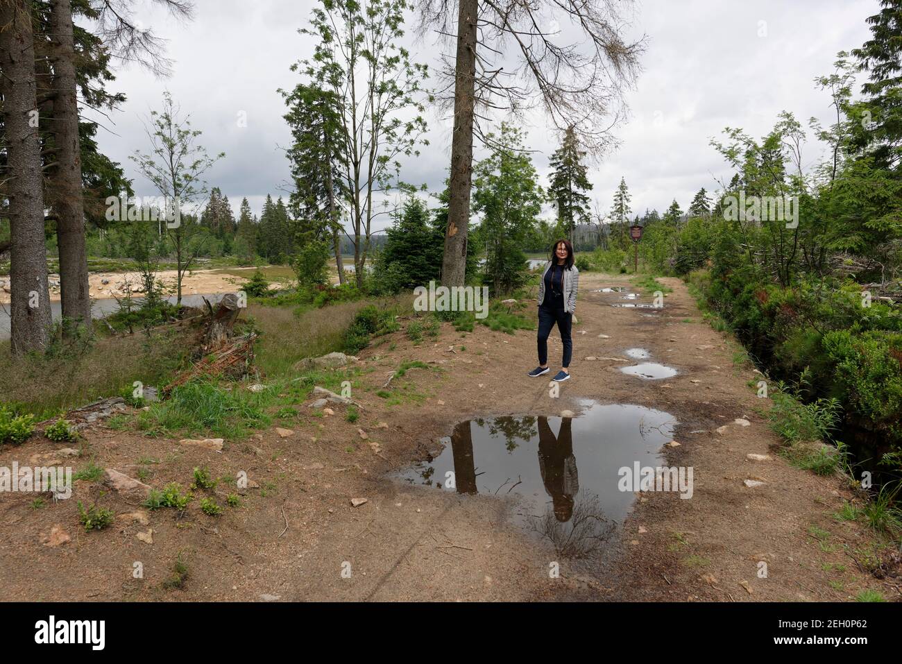 Wanderung am Oker, Frau im Verlöbungs Insel Foto Stock