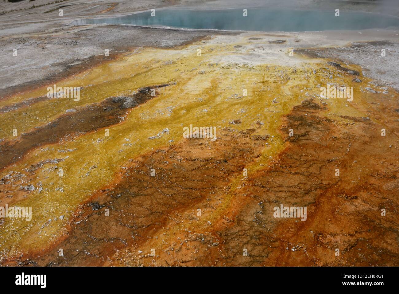 West Thumb Geyser Basin nel parco nazionale di Yellowstone, Wyoming, Stati Uniti Foto Stock