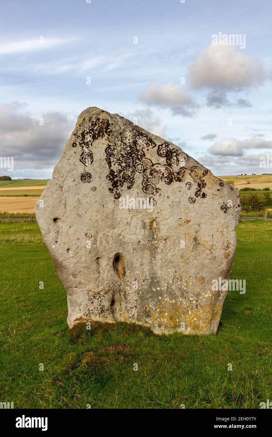 Ammira il West Kennett Avenue di pietre sarsen che conducono verso il sito di Avebury Hege & Stone Circles, Wiltshire, Inghilterra. Foto Stock