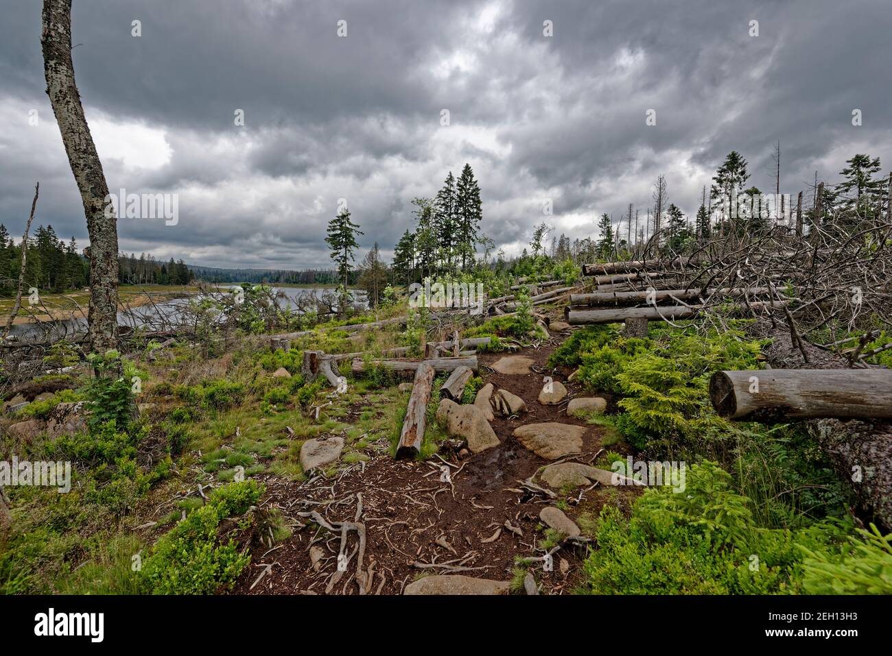 Wochenende mit Frau im Harz, Sachsen Anhalt. Foto Stock