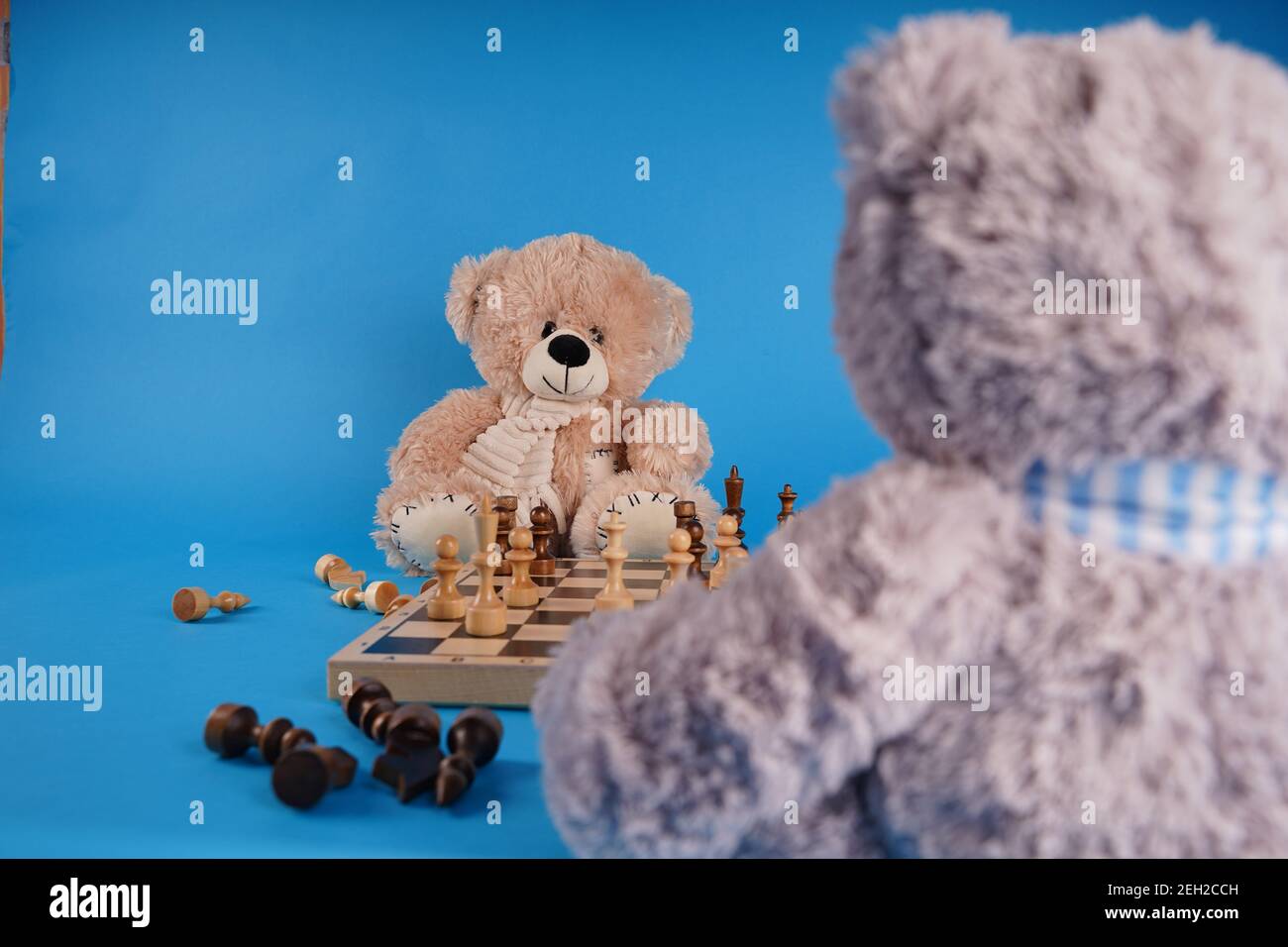 Primo piano di orsacchiotti con pezzi di scacchi sulla scacchiera. Morbidi  giocattoli peluche che giocano a scacchi su sfondo blu Foto stock - Alamy