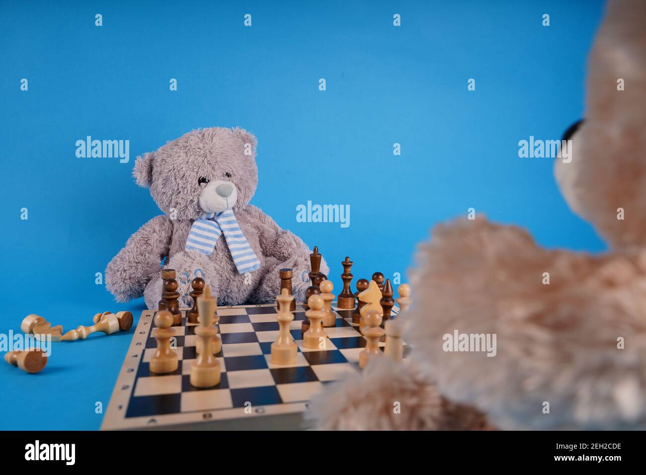 Primo piano di orsacchiotti con pezzi di scacchi sulla scacchiera. Morbidi giocattoli peluche che giocano a scacchi su sfondo blu Foto Stock