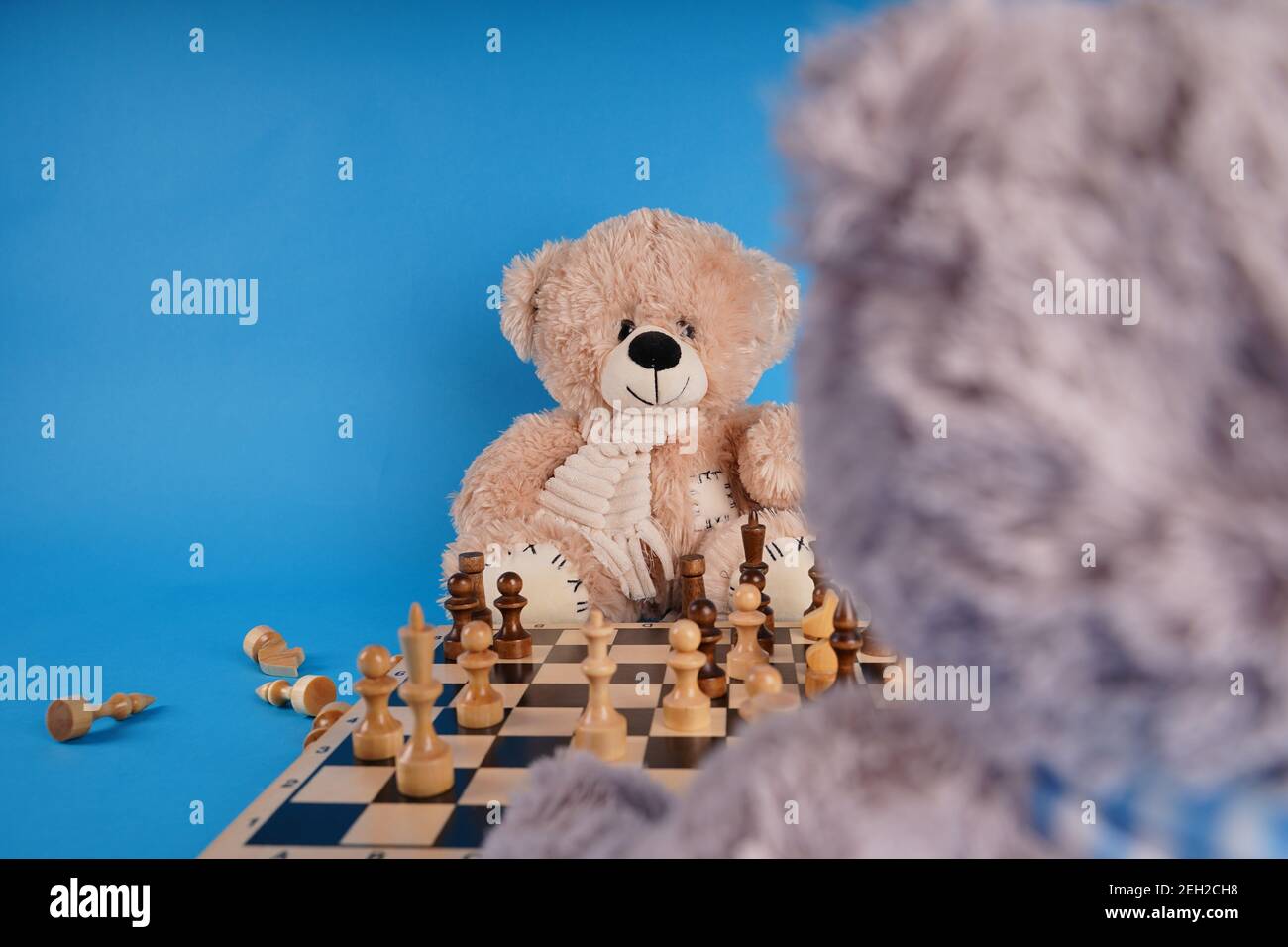 Primo piano di orsacchiotti con pezzi di scacchi sulla scacchiera. Morbidi giocattoli peluche che giocano a scacchi su sfondo blu Foto Stock
