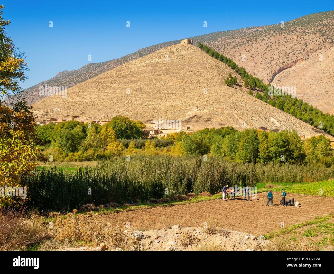 La fertile valle di Ait Bougmez / Bougoumez nel Regione di M'Goun delle montagne dell'Atlante marocchino Foto Stock