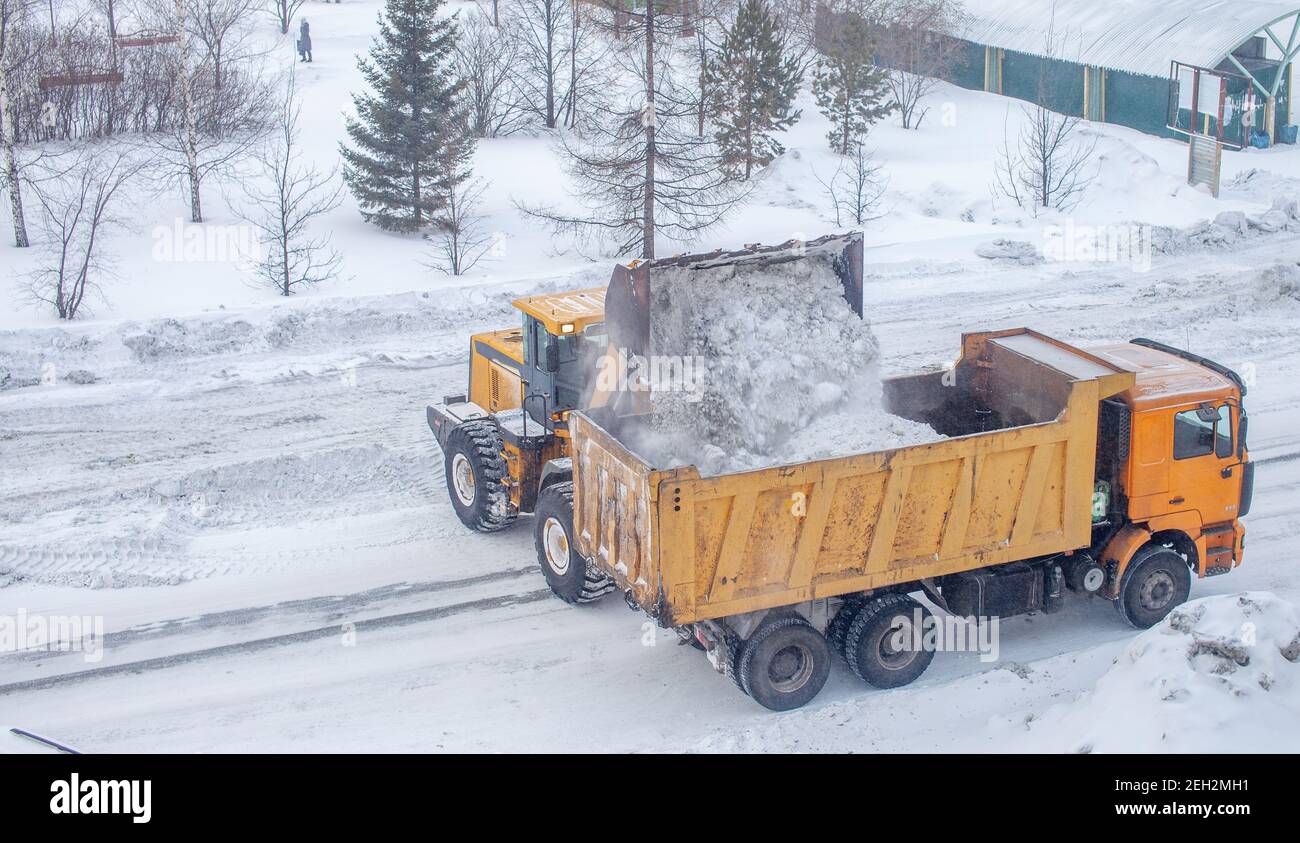 Il trattore giallo grande pulisce la neve dalla strada e la carica nel carrello. Pulizia e pulizia delle strade della città dalla neve in inverno Foto Stock