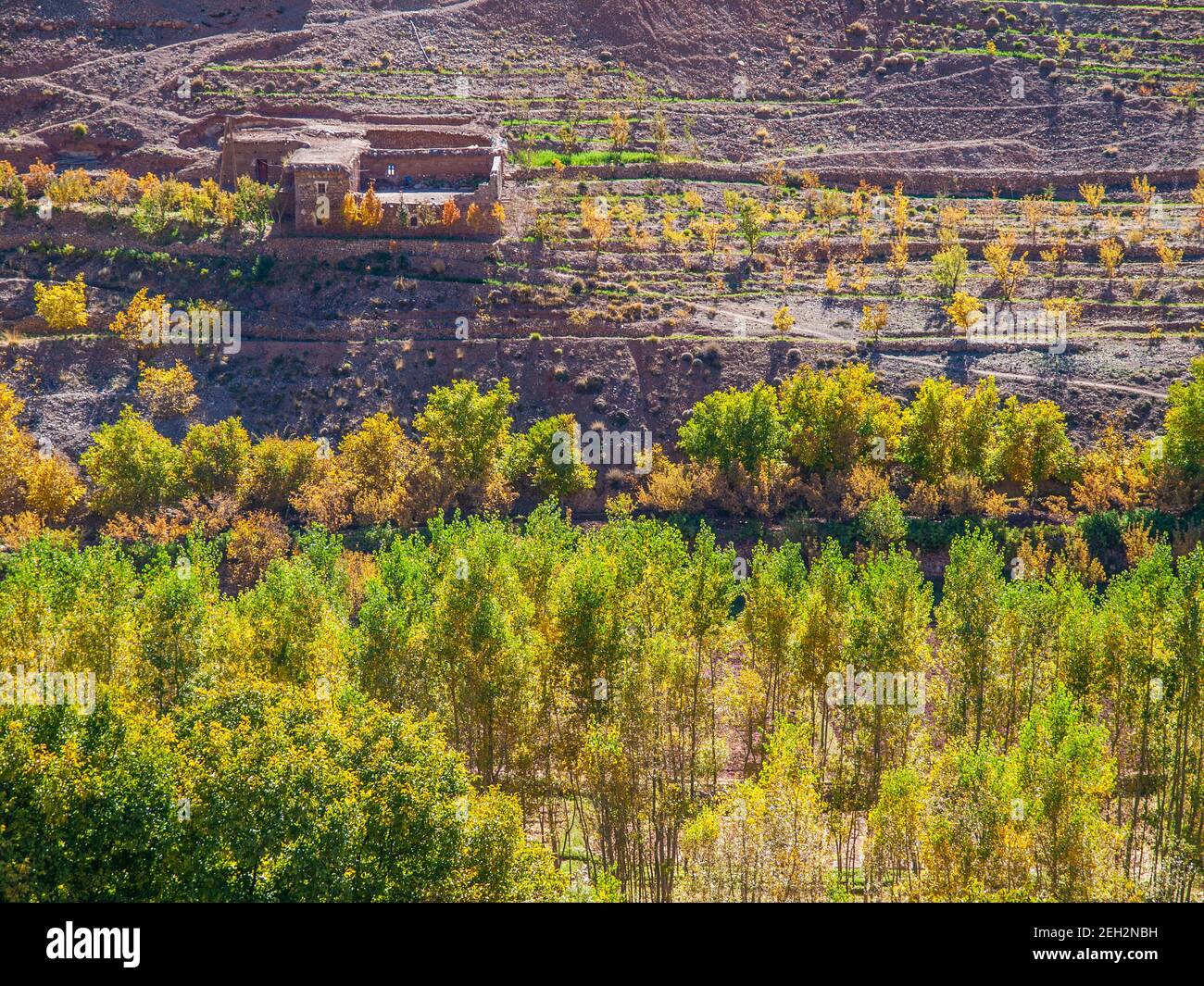 La fertile valle di Ait Bougmez / Bougoumez nel Regione di M'Goun delle montagne dell'Atlante marocchino Foto Stock