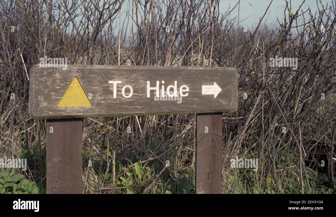 Uccello watcher Nascondi, RSPB Marazion Marsh, riserva naturale, penzion, cornovaglia Foto Stock