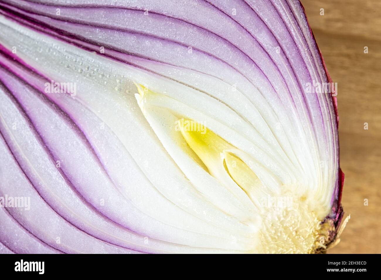 Macro fotografia di una cipolla rossa Foto Stock