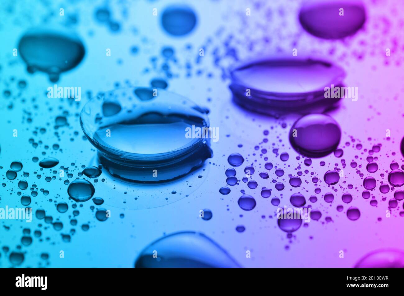 Lenti a contatto, su sfondo rosa-verde. Due lenti a contatto con gocce d'acqua su sfondo rosa-verde. Foto Stock