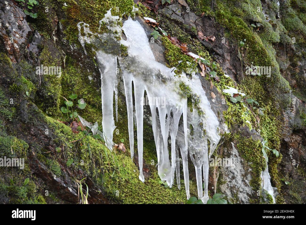 Aspromonte - Torrent Credit Giuseppe Andidero Stock Photo - Alamy