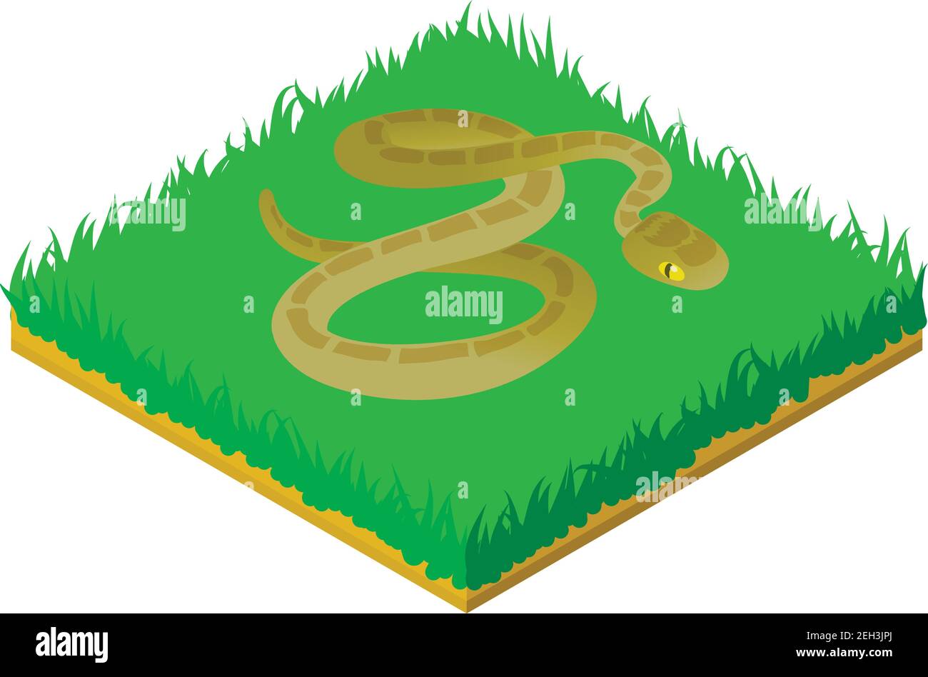 Icona serpente d'erba. Illustrazione isometrica dell'icona vettore del serpente d'erba per il web Illustrazione Vettoriale