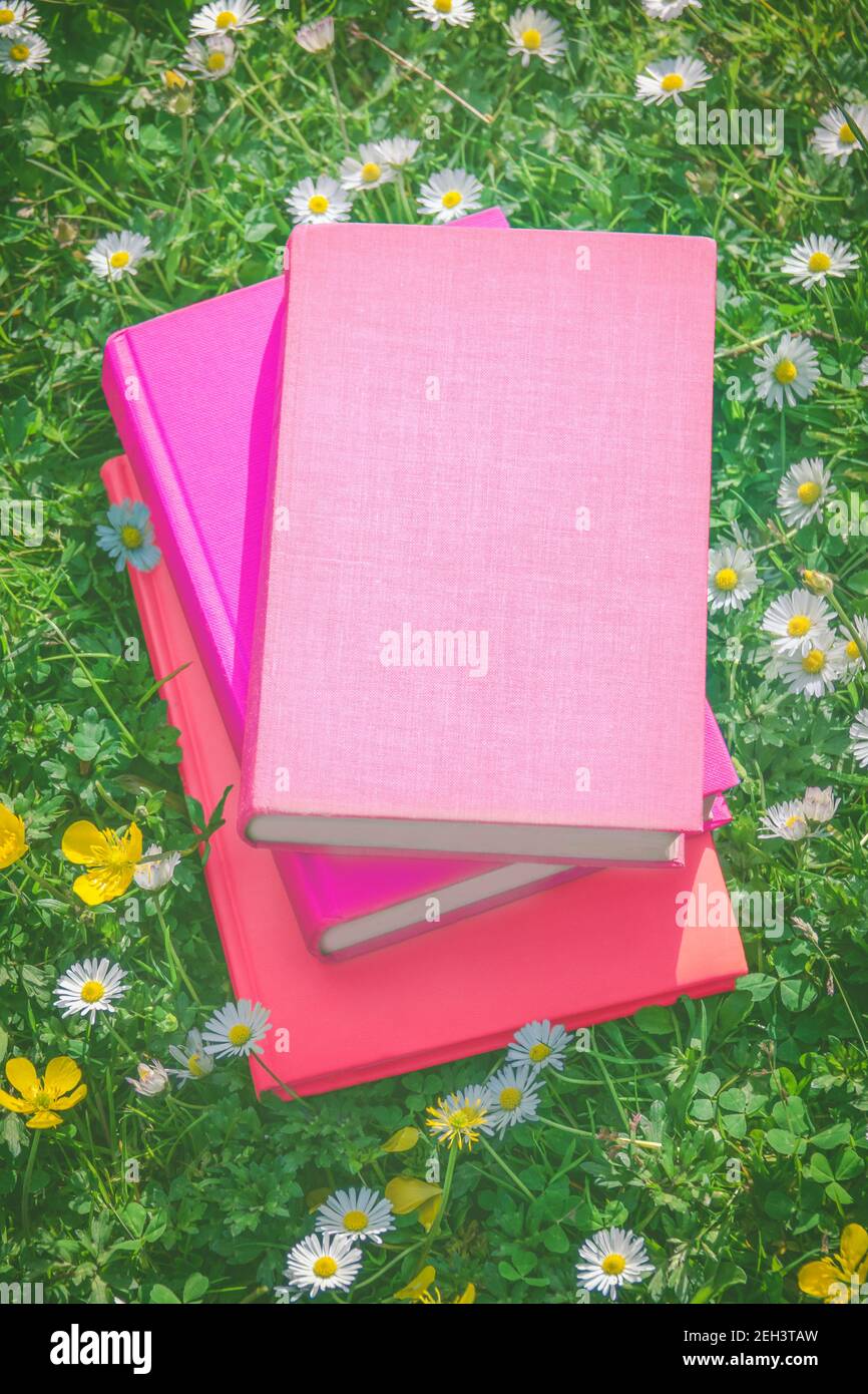 Libri d'epoca colorati su un prato da giardino in estate con Copia spazio Foto Stock