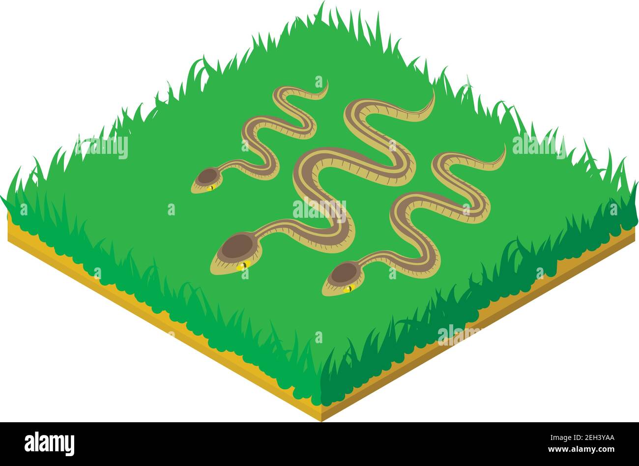 Icona di serpente grigio. Illustrazione isometrica dell'icona del vettore di serpente grigio per il web Illustrazione Vettoriale