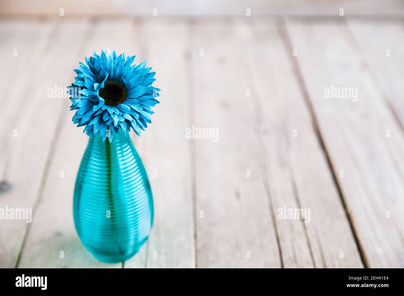 fiore di gerbera blu in un vaso su sfondo di legno e. Foto Stock
