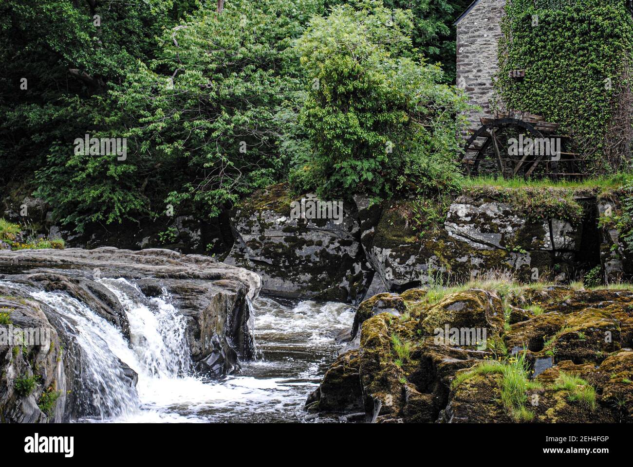 Cenath cascata serie di piccole cascate e piscine sul fiume Teifi Foto Stock