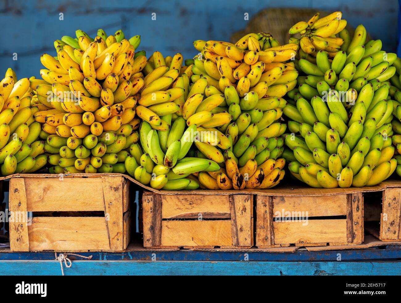 Banane su casse per la vendita sul mercato locale, Guayaquil, Ecuador. Foto Stock