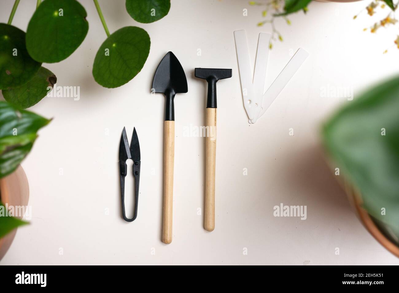 Accessori per attrezzi da giardinaggio miniatura piatta posa bianca forbici per pala da interno, concetto di giardinaggio o piantagione visto dall'alto, vista dall'alto giardino interno, Foto Stock