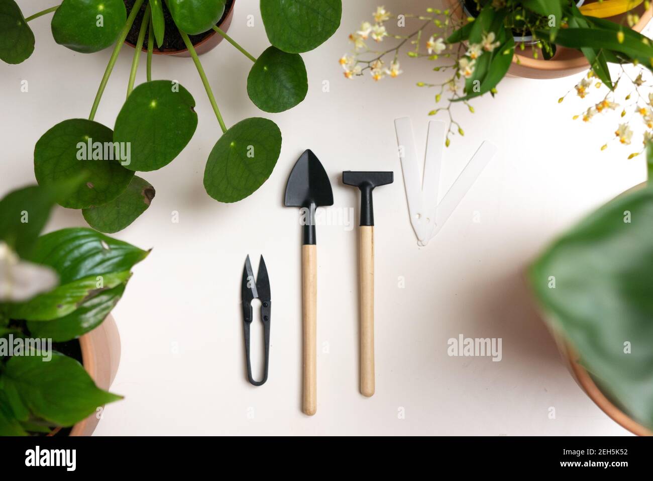 Accessori per attrezzi da giardinaggio miniatura piatta posa bianca forbici per pala da interno, concetto di giardinaggio o piantagione visto dall'alto, vista dall'alto giardino interno, Foto Stock