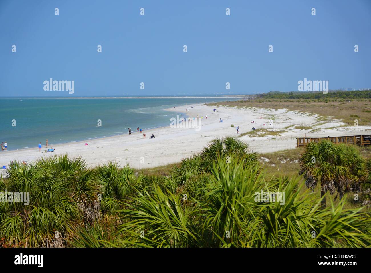 La vista sulla spiaggia bianca e le verdi vegetazioni vicino al Parco Fort Desoto, San Pietroburgo, Florida, U.S.A Foto Stock