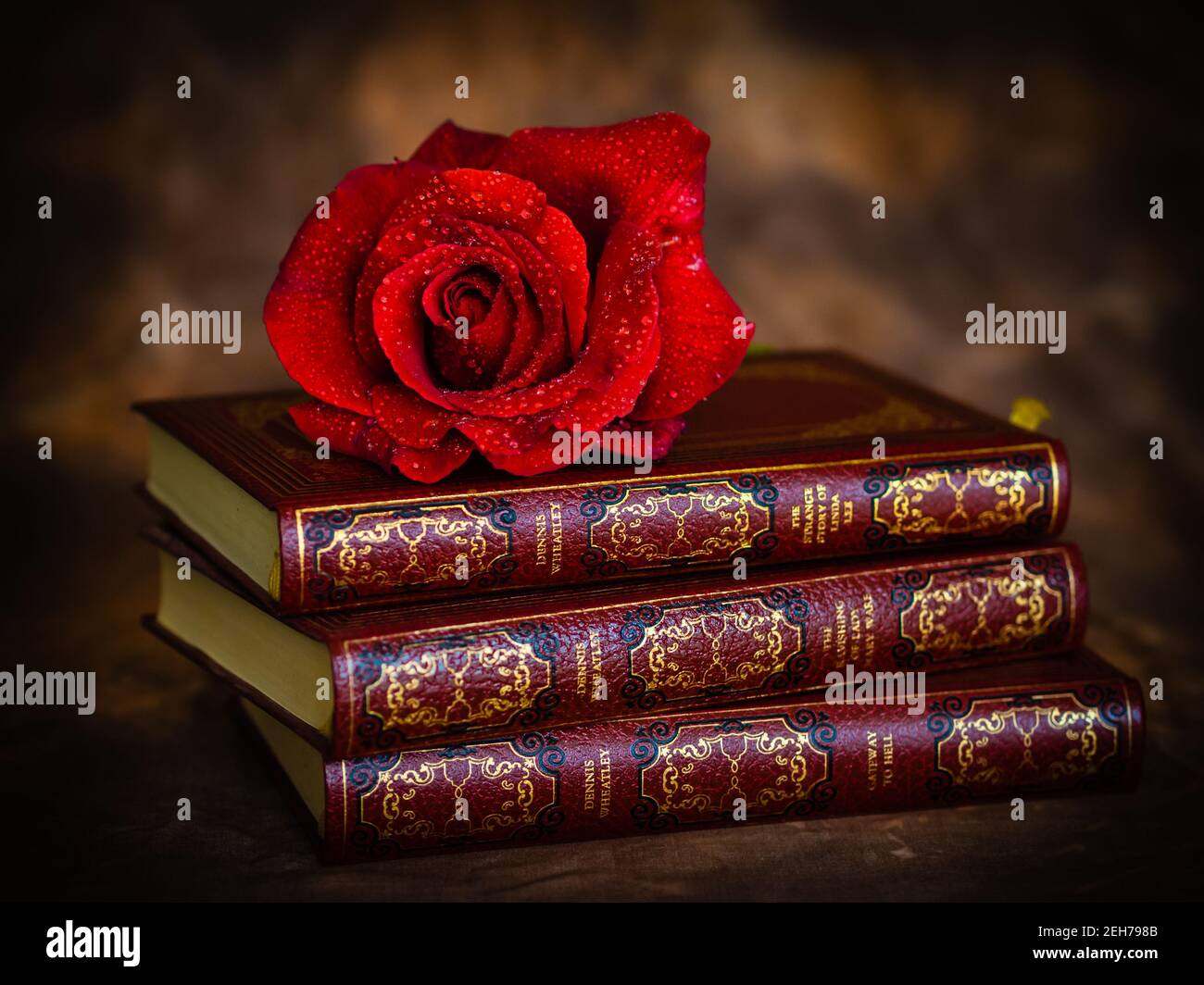 Rosa rossa con letteratura classica Foto Stock