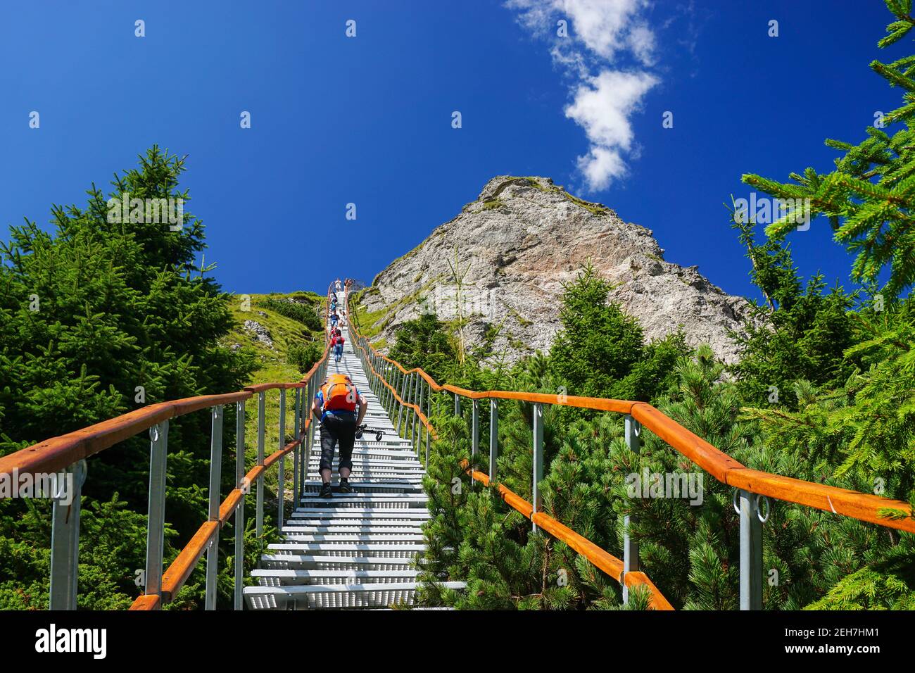 Foto ad angolo basso di escursionisti che camminano sulle scale di metallo salendo sulla scogliera di montagna Foto Stock