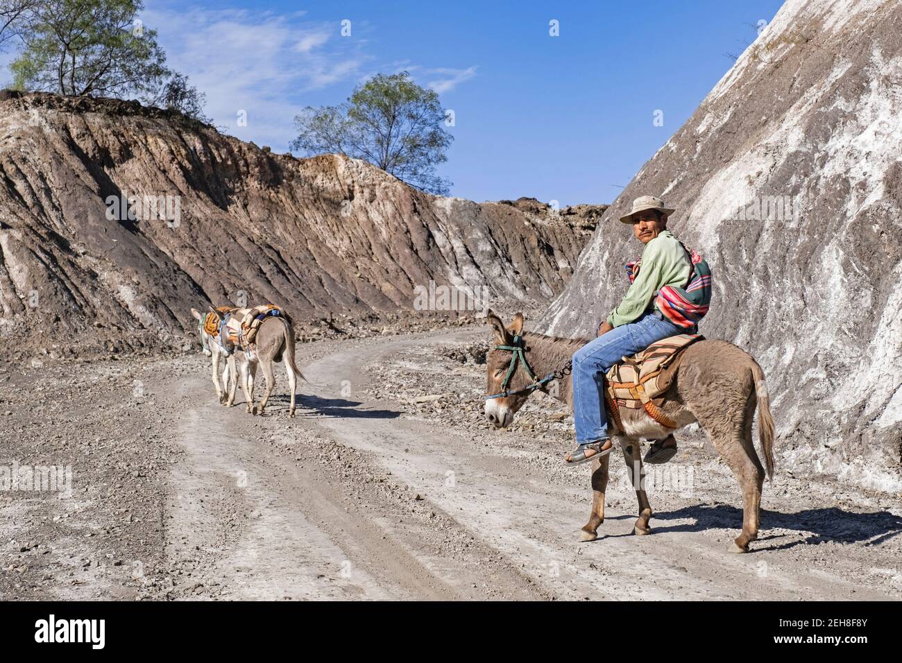 Boliviano Guaraní uomo a cavallo di un asino lungo la strada di montagna nelle Ande, Vallegrande Provincia, Santa Cruz Dipartimento, Bolivia Foto Stock