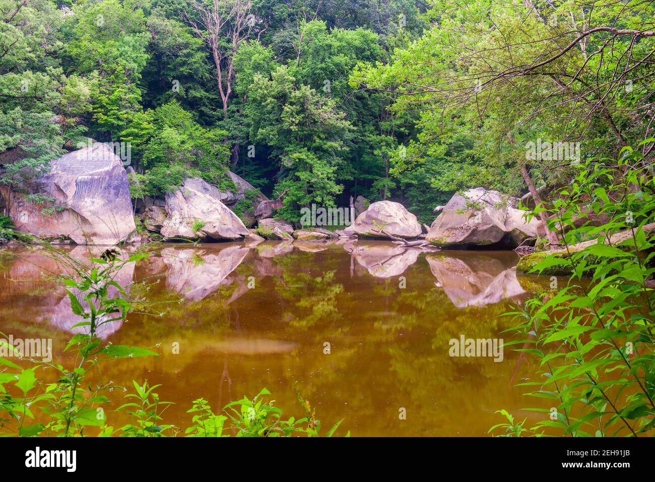 Vista sul fiume Nero nell'area di Cascade Park. Elyria. Contea di Lorain. Ohio. STATI UNITI. Foto Stock