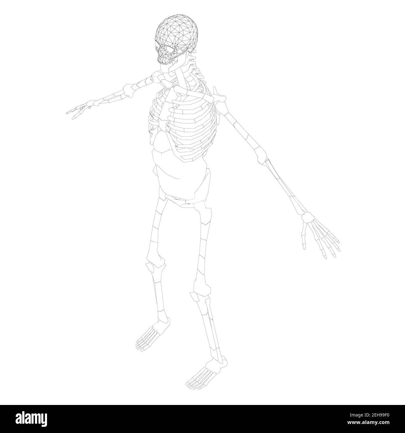 Il contorno dello scheletro umano con le mani sollevate. Vista isometrica. Illustrazione vettoriale. Illustrazione Vettoriale