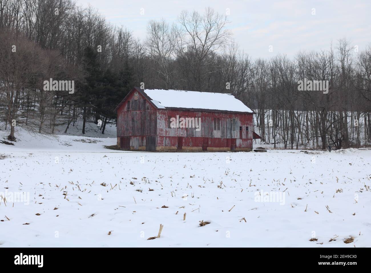 Fienile rosso rustico, con campo di mais innevato di fronte Foto Stock