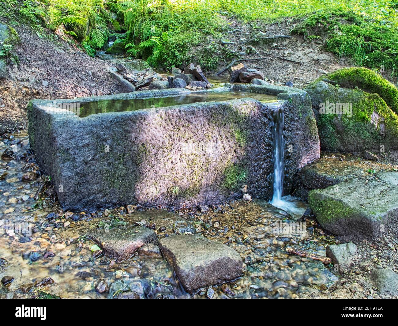 Un trogolo di acqua di pietra su Otley Chevin, questo trogolo è fornito di acqua da un piccolo beck, l'acqua trabocca il trogolo e continua in discesa. Foto Stock