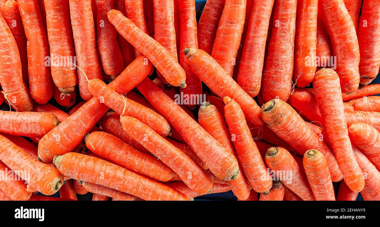 Tutte le carote naturali fresche biologiche sul tavolo. Concetto di vita sana. Pasti vegani e cucina vegetariana. Un gruppo di carote sul tavolo alto un Foto Stock