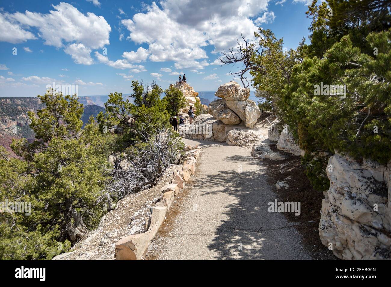 North Rim del Grand Canyon nell'Arizona del Nord, Stati Uniti Foto Stock