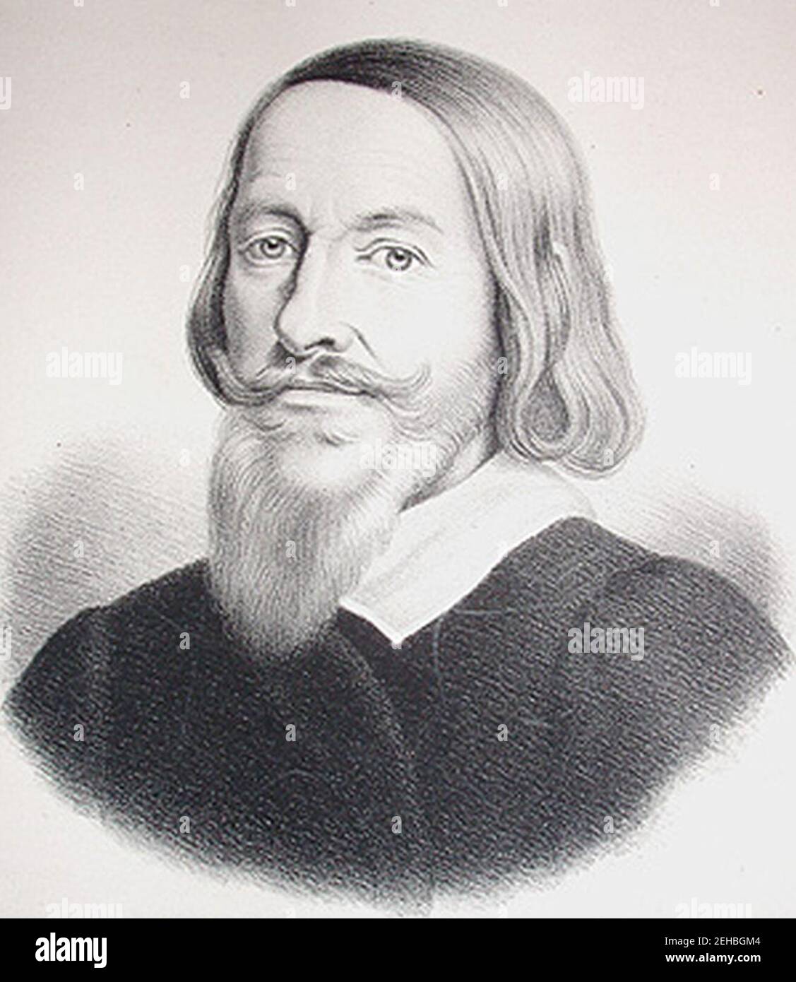 Dove gjedde. Foto Stock