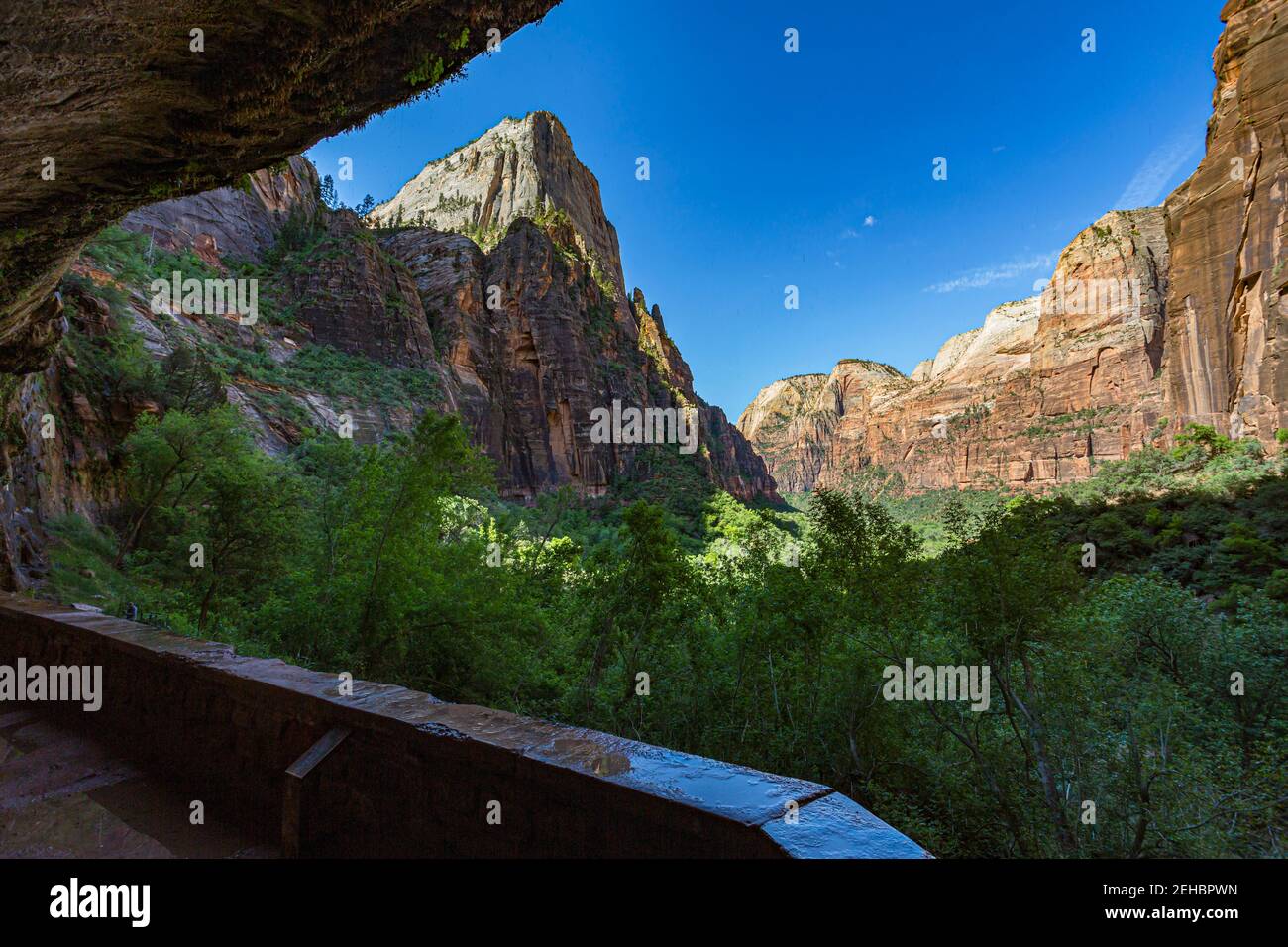 Zion National Park nel sud-ovest dello Utah, Stati Uniti Foto Stock